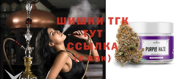 бутират Елабуга