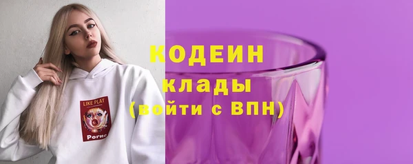 хмурый Заводоуковск